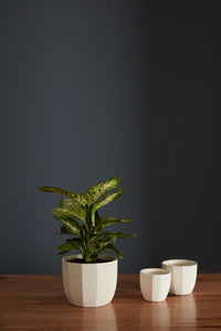 Design Shop Bona Pot 4"x 3.75", Set of 4