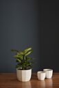 Design Shop Bona Pot 4"x 3.75", Set of 4
