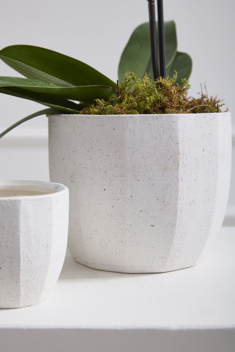 Design Shop Bona Pot 5"x 4.5", Set of 2