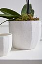 Design Shop Bona Pot 4"x 3.75", Set of 4