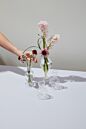 Design Shop Boutique Vase 3"x 4", Set of 4
