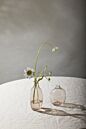 Design Shop Brielle Budvase 3.5"x 2.25"x 4.25", Set of 2