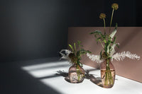 Design Shop Brielle Budvase 3.5"x 2.25"x 4.25", Set of 2