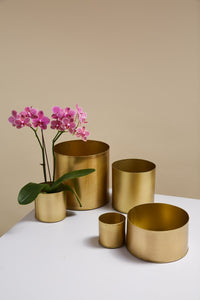 Design Shop Bryant Pot 8.25"x 8", Set of 2