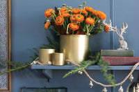 Design Shop Bryant Pot 8.25"x 8", Set of 2