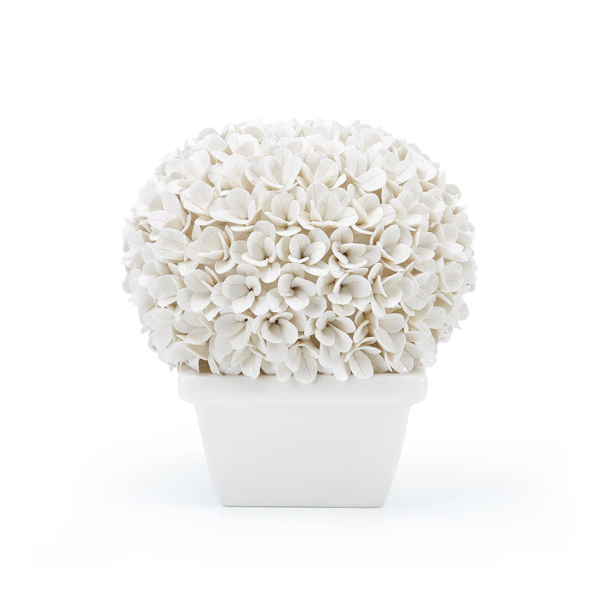 Villa & House Boston Round Boxwood Topiary, Blanc de Chine