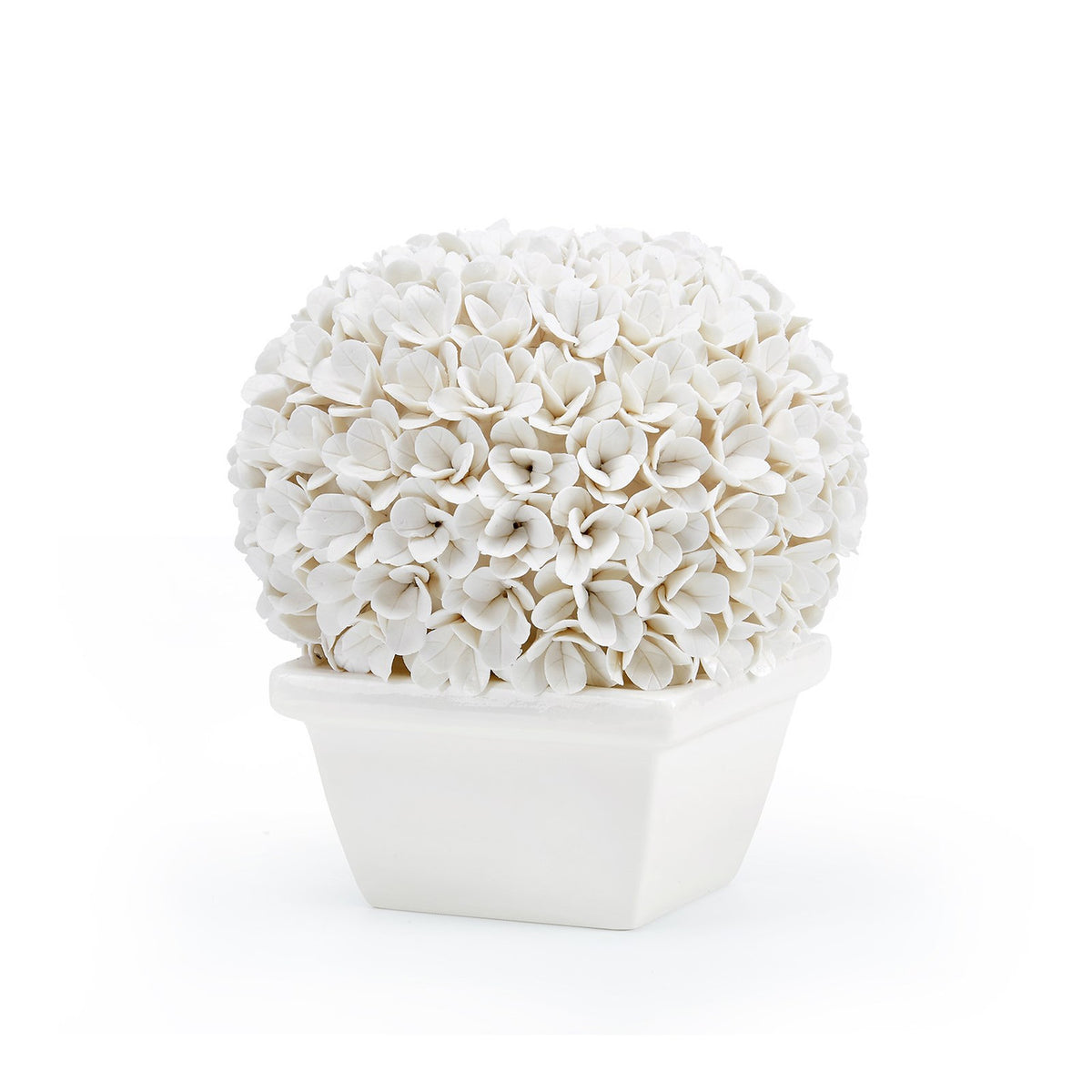 Villa & House Boston Round Boxwood Topiary, Blanc de Chine