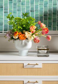 Villa & House Barleto Box, Clear