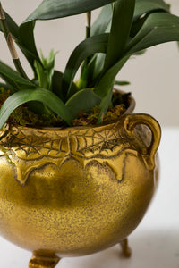 Design Shop Bubbling Cauldron 10"x 9.5"x 8.25"