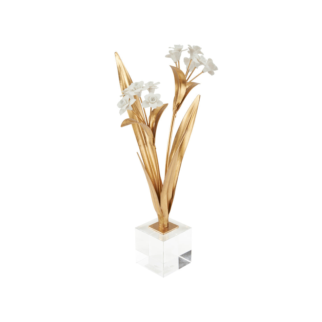 Chelsea House Paperwhite Narcissus
