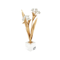 Chelsea House Paperwhite Narcissus