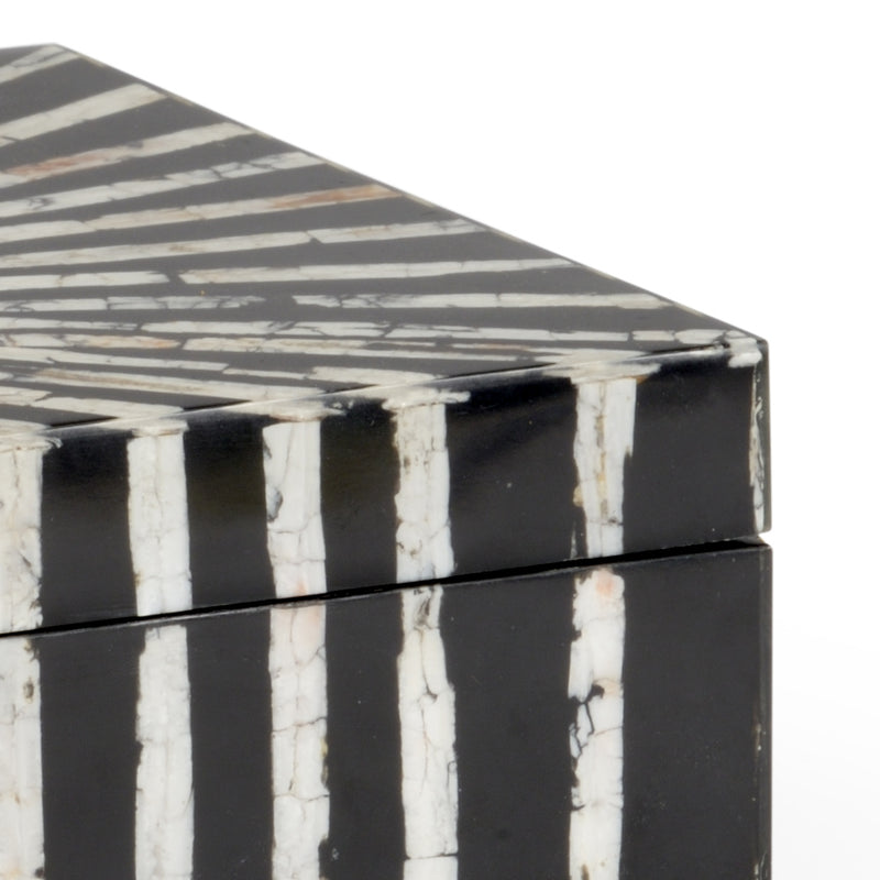 Chelsea House Razor Shell Box – Design Shop By Shell