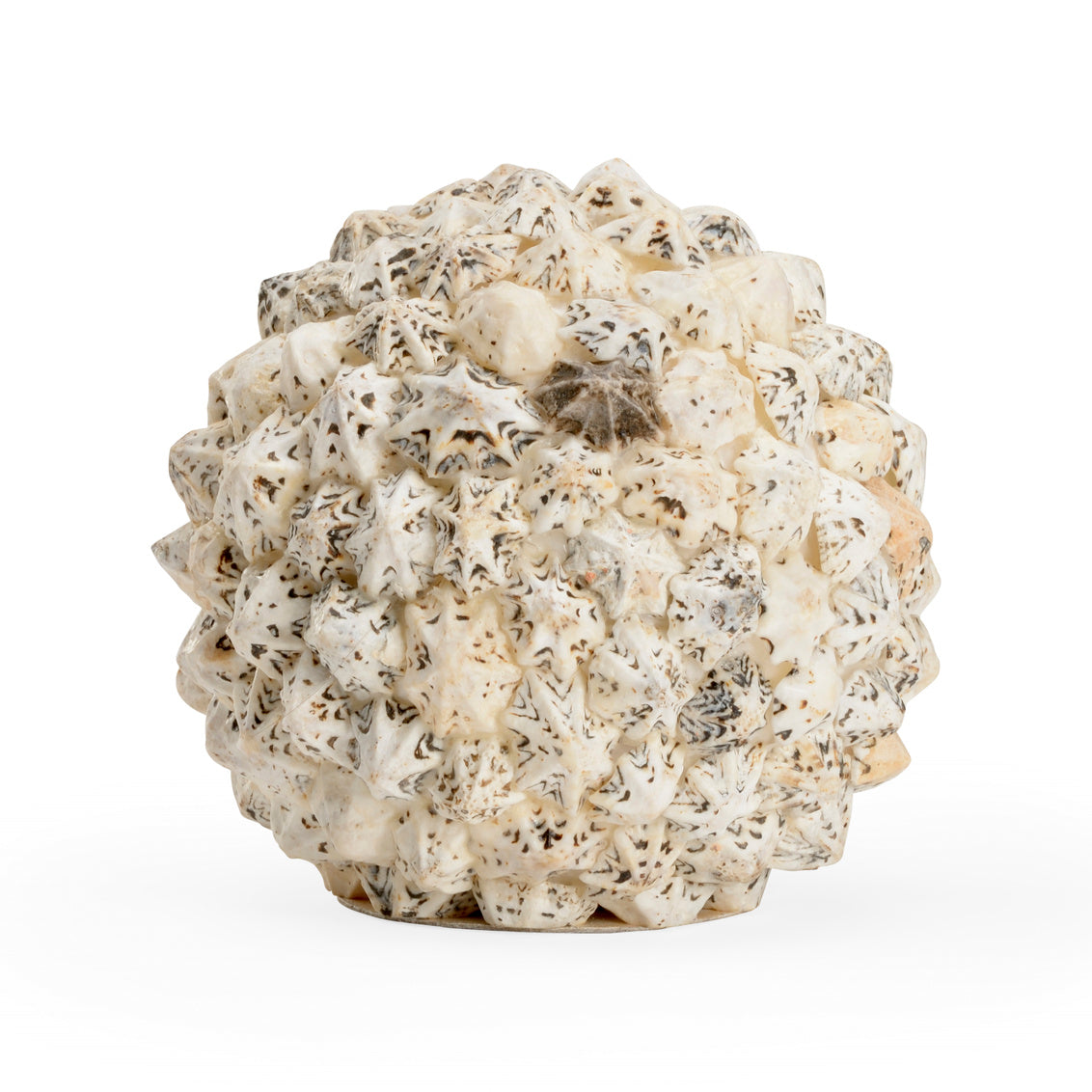 Chelsea House Shell Ball (Lg)