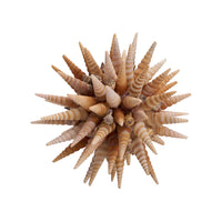 Chelsea House Marlin Shell Ball (Sm)