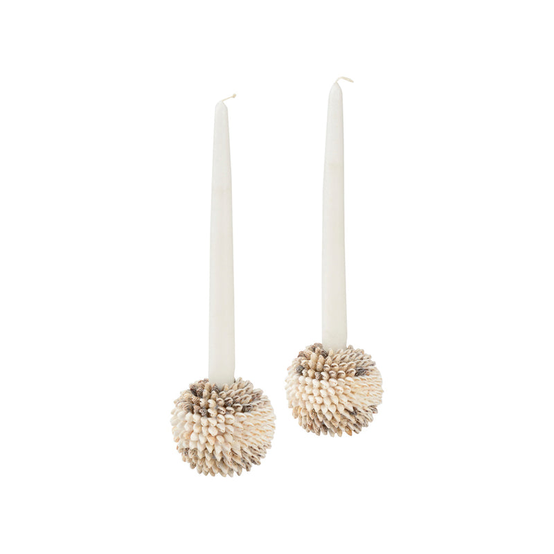 Chelsea House Nassa Shell Candleholder (Pr)