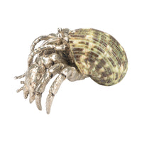 Chelsea House Hermit Crab Paperweight
