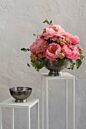 Design Shop Cadence Compote 5.75"x 3.25"