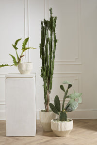 Design Shop Cameron Pot 10.5"x 7.75"