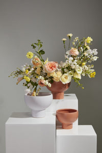 Design Shop Capricorn Compote 8"x 6.5"