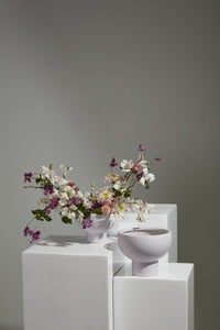 Design Shop Capricorn Compote 8"x 6.5"
