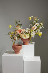 Design Shop Capricorn Compote 8"x 6.5"