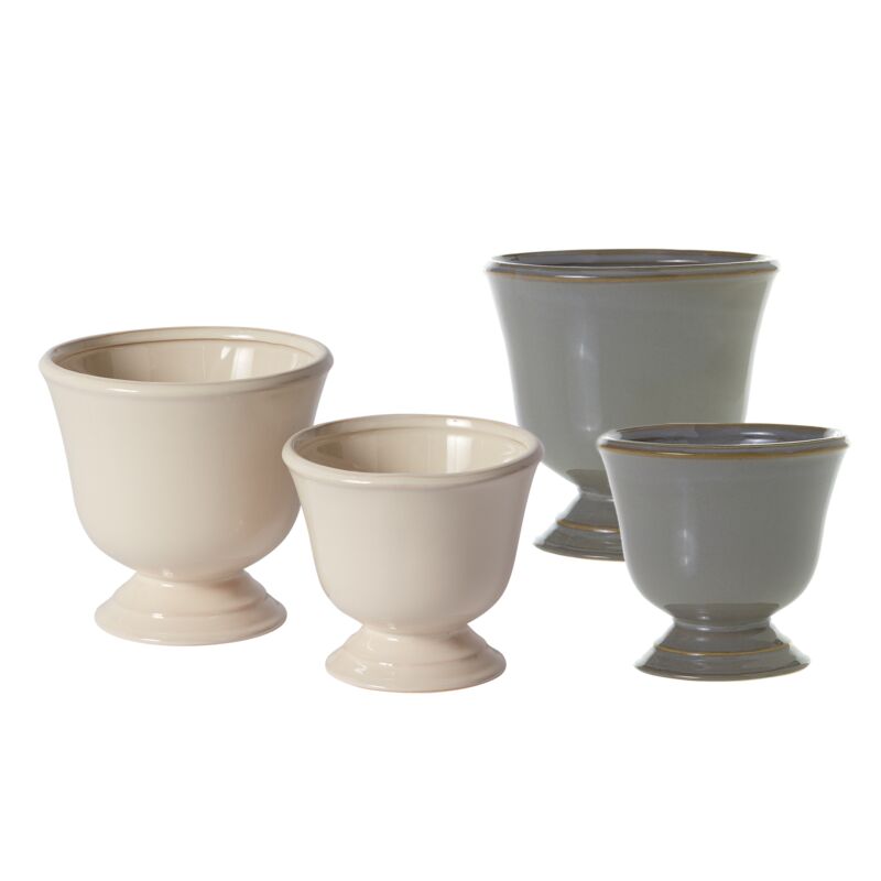 Design Shop Cara Compote 6"x 5.5"