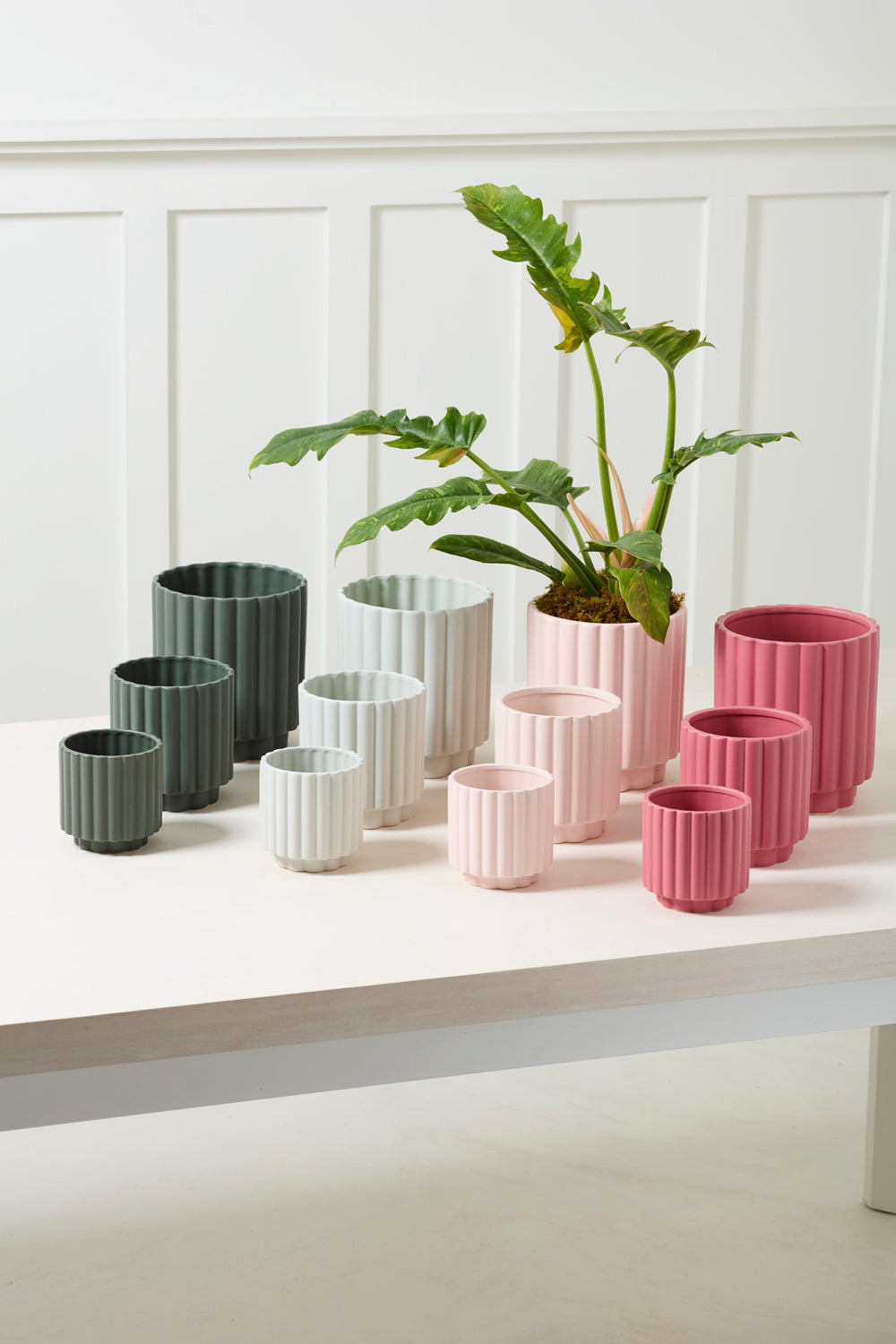 Design Shop Carmen Pot 7.25"x 8.25"