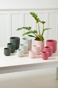 Design Shop Carmen Pot 5.5"x 6", Set of 2