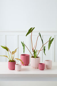 Design Shop Carmen Pot 4.5"x 4.5", Set of 4