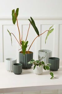 Design Shop Carmen Pot 7.25"x 8.25"