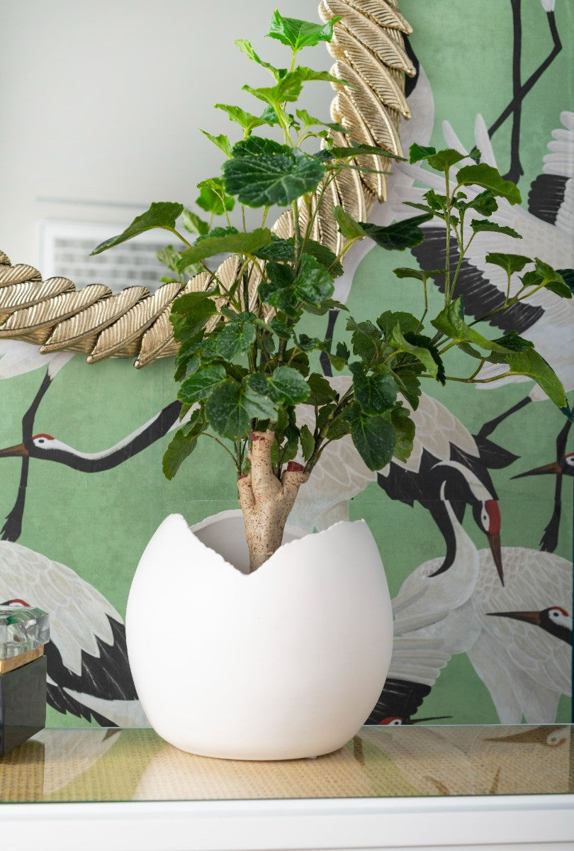 Villa & House Cambria Vase, Blanc de Chine