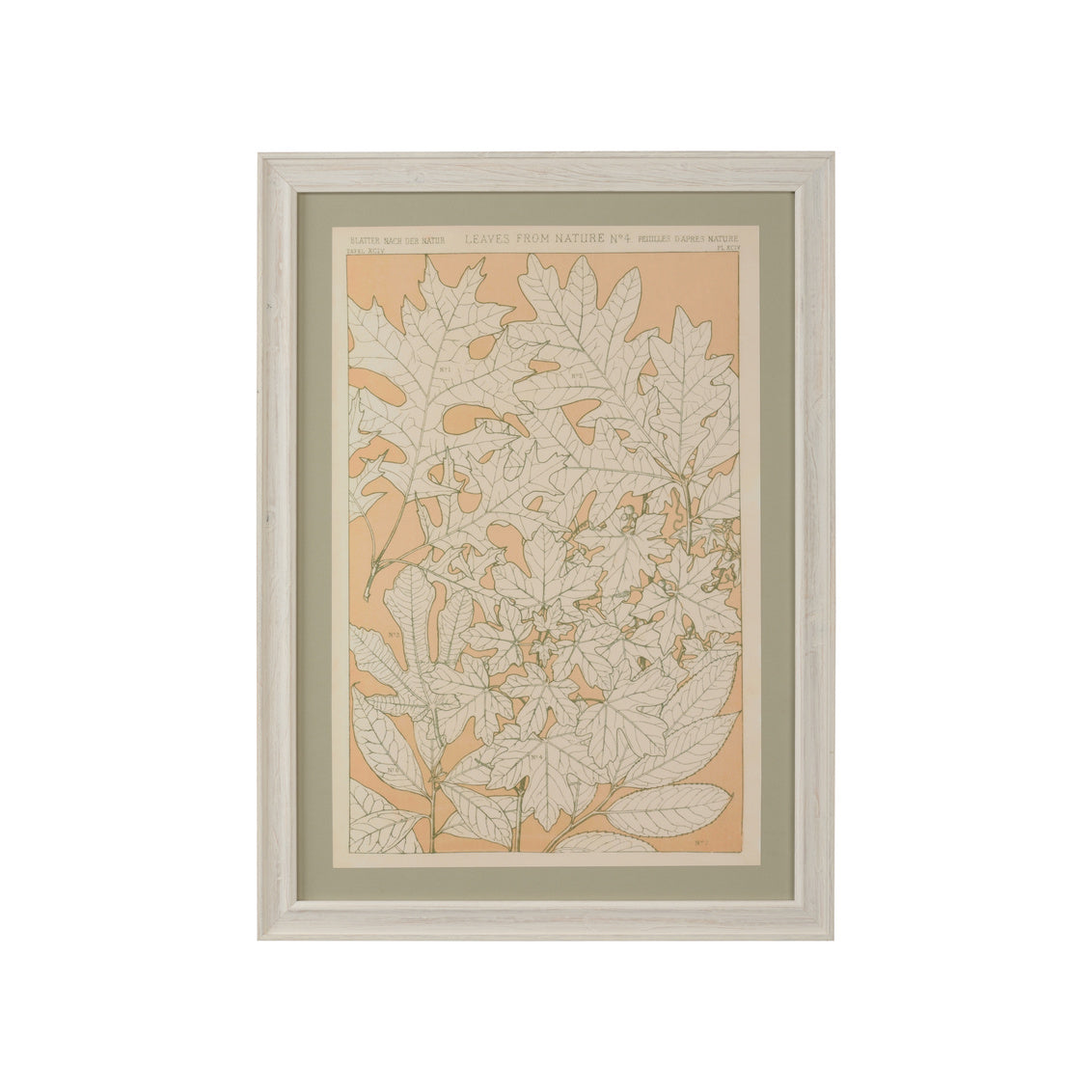Chelsea House Leaves From Nature No.4
