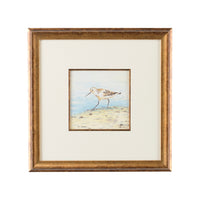 Chelsea House Sand Piper V