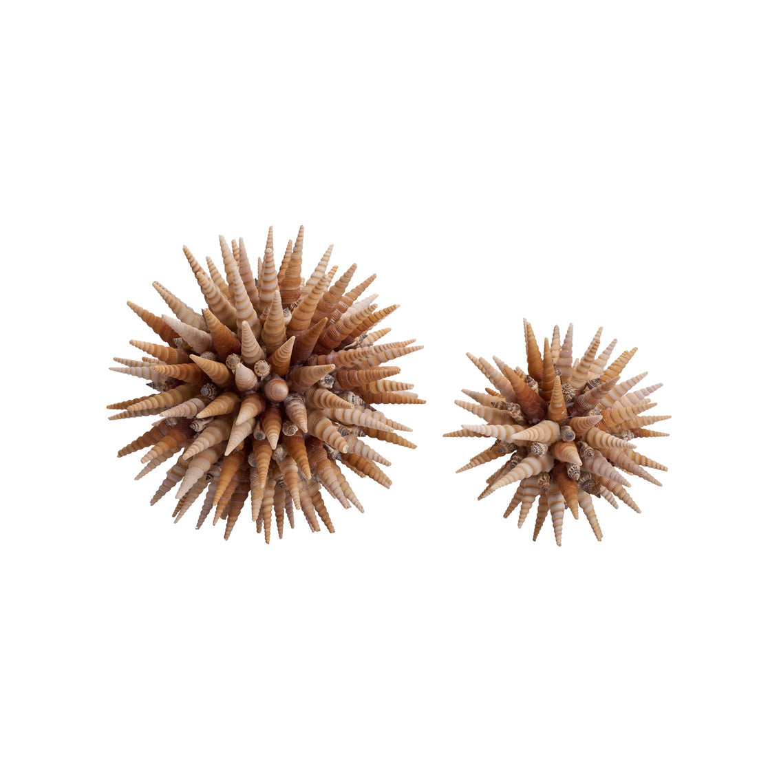 Chelsea House Marlin Shell Ball (Lg)