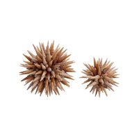 Chelsea House Marlin Shell Ball (Lg)