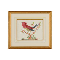 Chelsea House Pink Bird/Black Tail