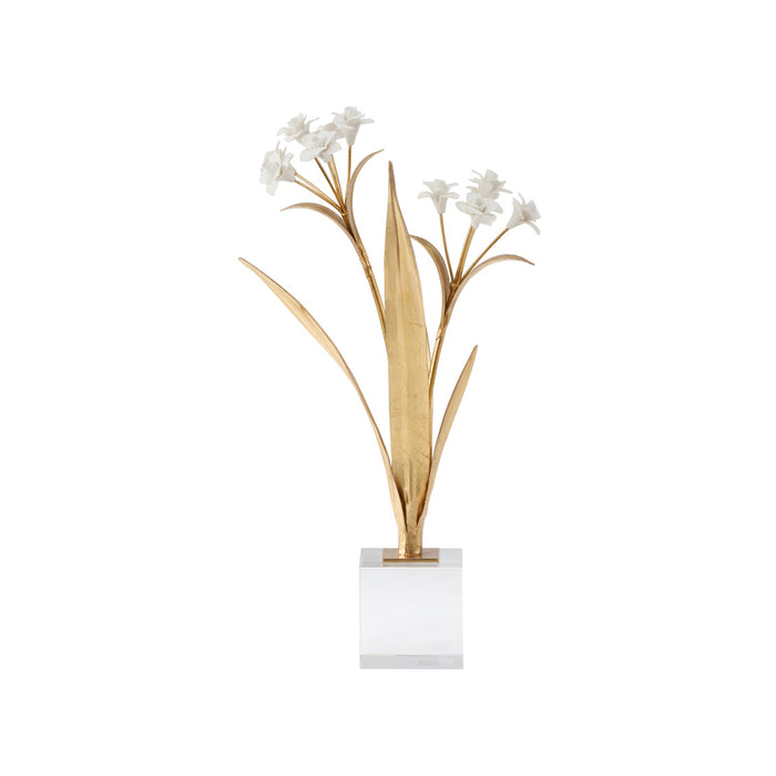 Chelsea House Paperwhite Narcissus