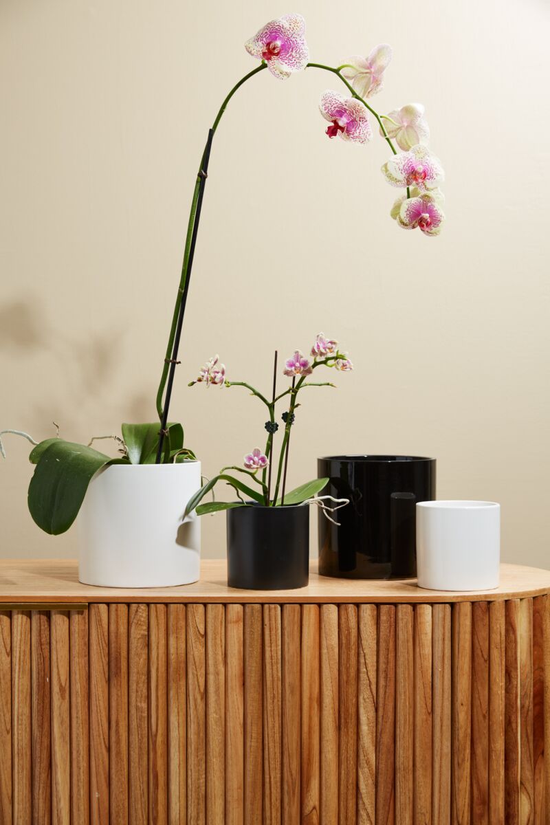 Design Shop Cercle Pot 6.5"x 6.25"
