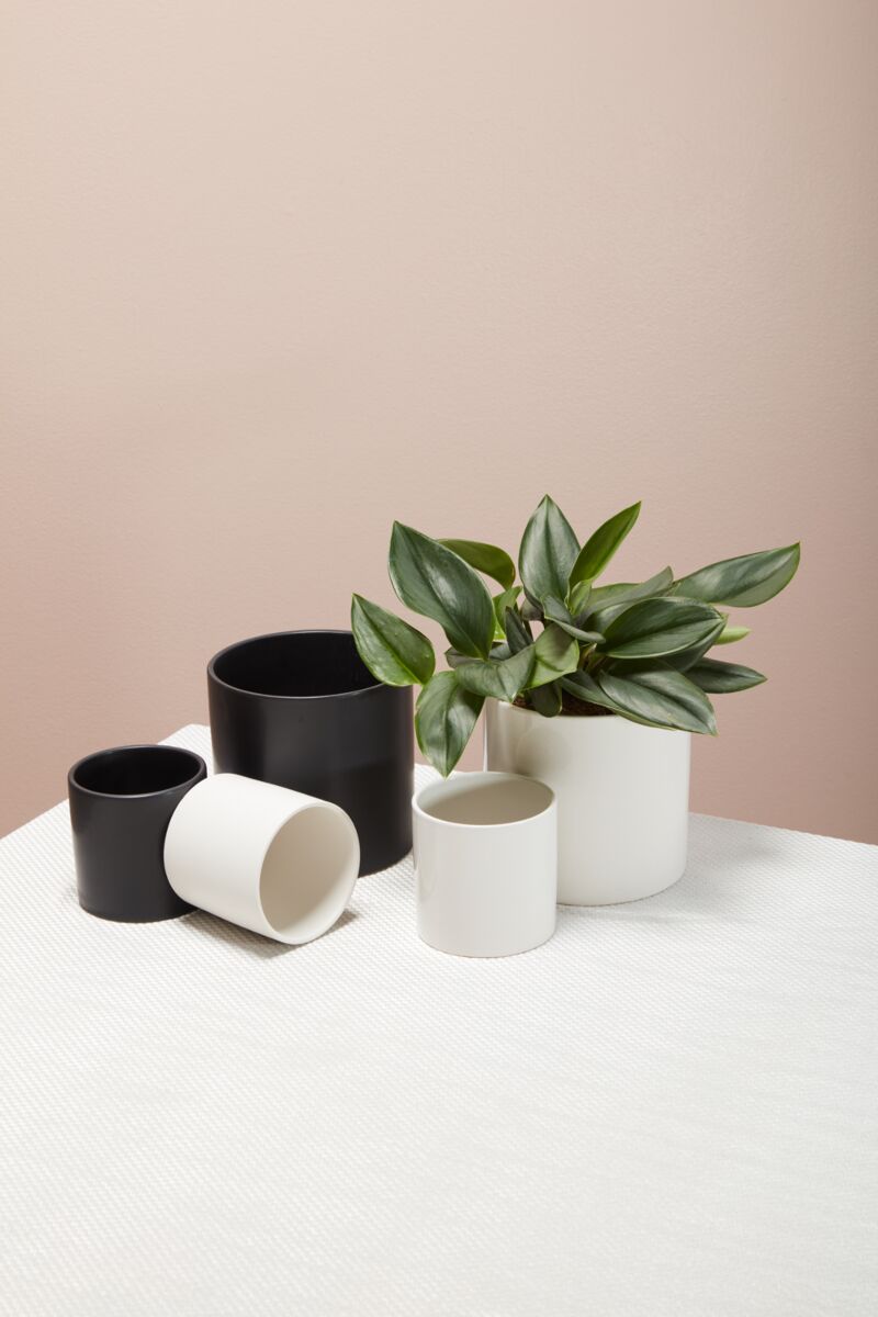 Design Shop Cercle Pot 6.5"x 6.25"