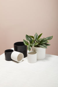 Design Shop Cercle Pot 6.5"x 6.25"