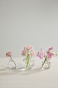 Design Shop Chim Budvase 3.25"x 4.75", Set of 2