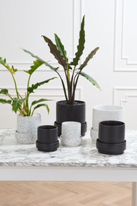 Design Shop Claxton Pot with Saucer 6.25"x 6", Set of 2
