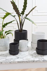 Design Shop Claxton Pot with Saucer 6.25"x 6", Set of 2