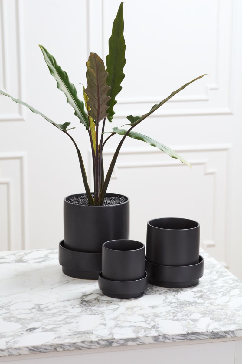 Design Shop Claxton Pot with Saucer 6.25"x 6", Set of 2