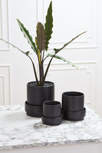 Design Shop Claxton Pot with Saucer 6.25"x 6", Set of 2