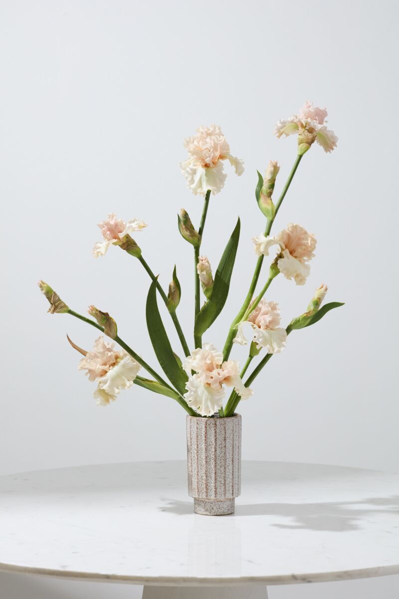 Design Shop Corley Vase 4.25"x 7.5", Set of 2