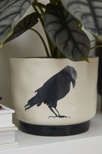 Design Shop Corvus Pot 4.5"x 4.5", Set of 2