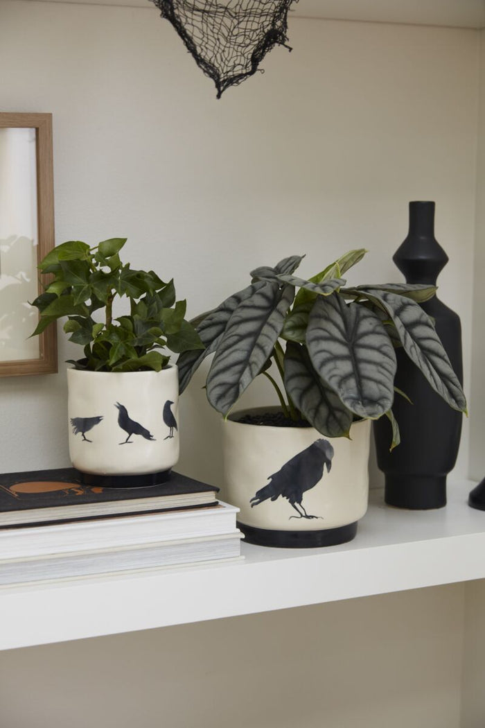 Two potted plants with bird designs on pots on a shelf.
