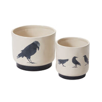 Design Shop Corvus Pot 4.5"x 4.5", Set of 2