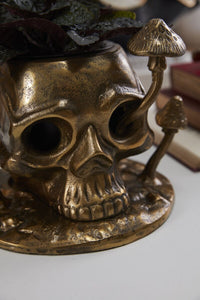 Design Shop Cranium Pot 9.5"x 6.5"x 8"